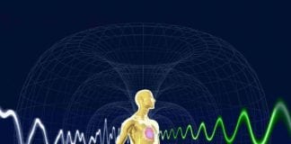 Ici. Maintenant. Prenez en charge votre Syntoniseur